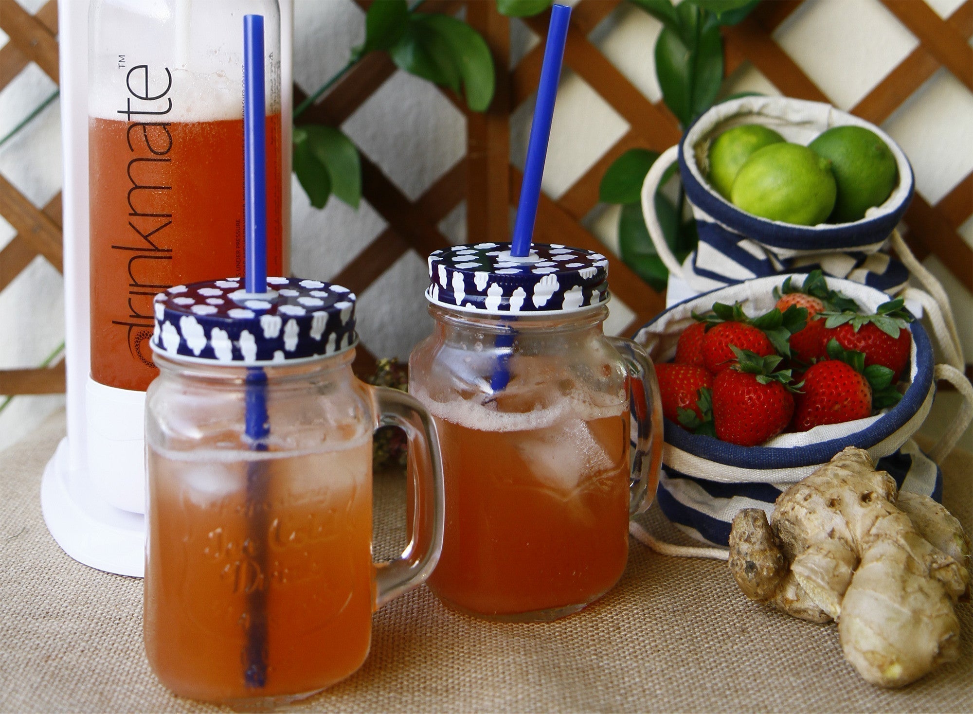 Refresh your fizz: 5 healthy & homemade sparkling soda recipes